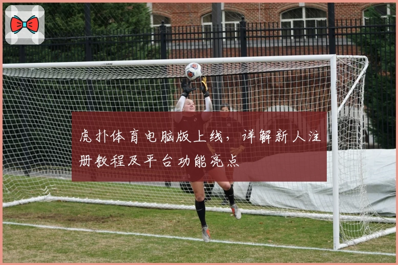 虎扑体育电脑版上线，详解新人注册教程及平台功能亮点