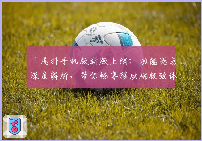 「虎扑手机版新版上线：功能亮点深度解析，带你畅享移动端极致体验」